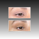 Cream Stay Shadow Stick